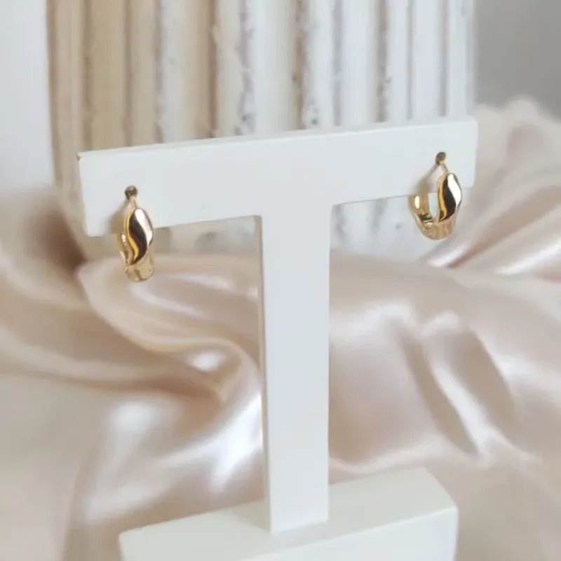 BRINCO DE ARGOLA TORCIDA LISA G