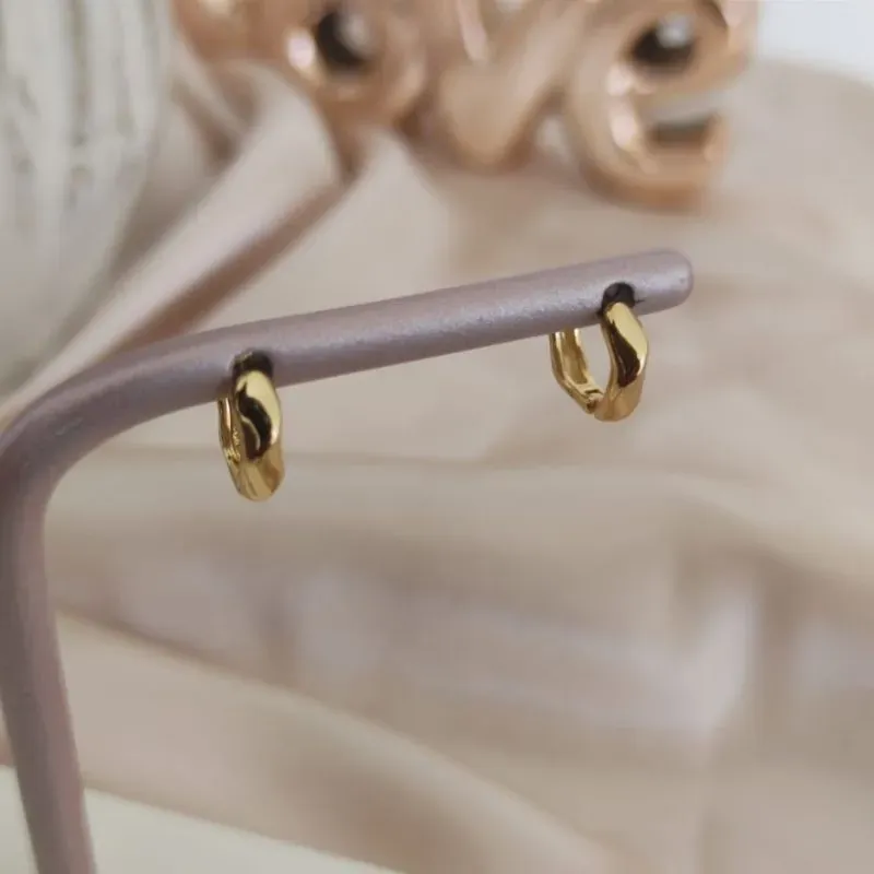 BRINCO DE ARGOLA TORCIDA LISA P