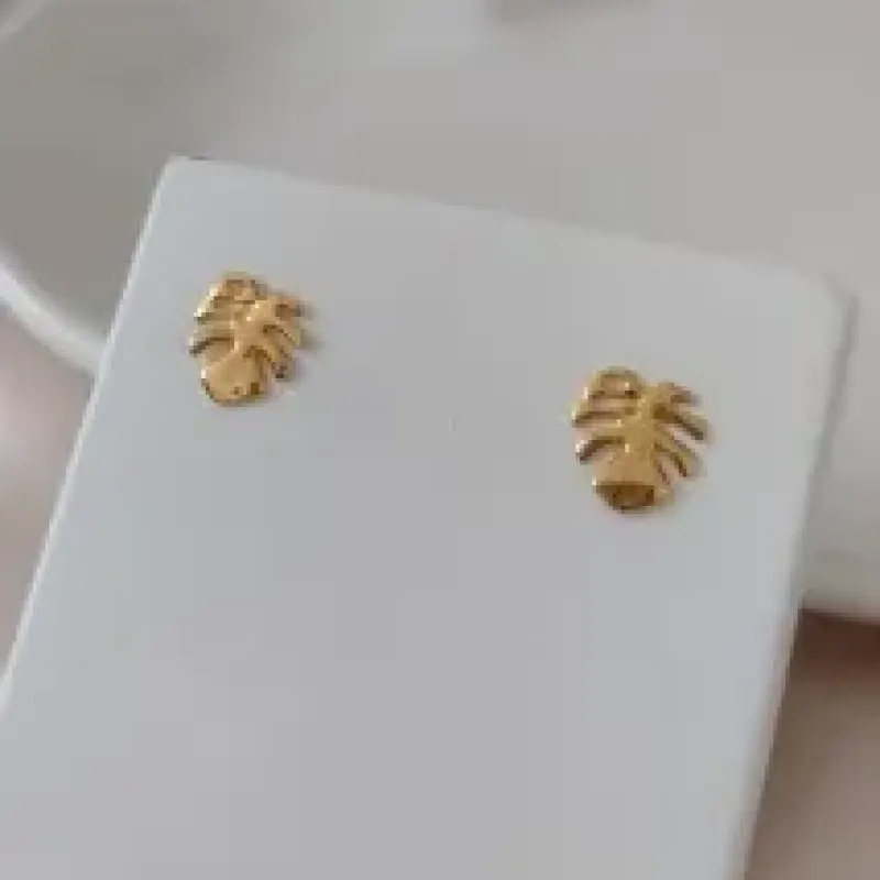 BRINCO FLOR COSTELA DE ADÃO