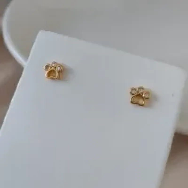 BRINCO PATINHA COM ZIRCONIA