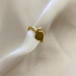 BRINCO FAKE COM PLACA DE CORAÇÃO LISA