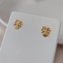 BRINCO FLOR COSTELA DE ADÃO